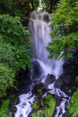 Obraz premium 静岡県富士宮市の朝日滝