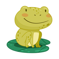 Cute frog sitting on lotus leaf in pond. Green funny amphibian toad character cartoon vector illustration
