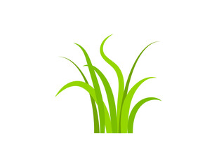 Flat green grass. Gazon. Vector icon. web version.