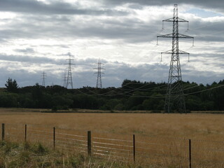 Obraz premium Electrical pylons in field