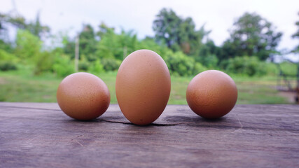 Three eggs laid on a wooden floor in the middle of the garden is another healthy food.