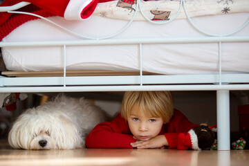 Little toddler child, hiding under the bed with his pet dog, maltese white puppy, scared