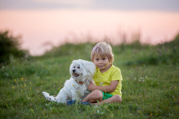 Cute preschool child, blond boy with pink stripes in his hair, taking pictures with his cute maltese dog in the park