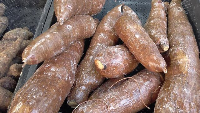 Cassava roots pile up for display on a market stall.  Real time