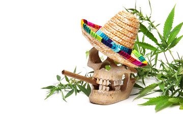 Human skull with cigar, sombrero hat and hemp leaves on white background