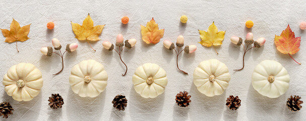 Decorative Autumn panoramic border from natural decor - white pumpkins, beige acorns, dry Fall...