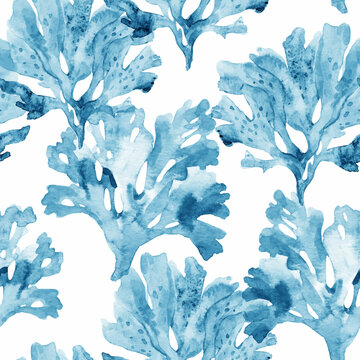 Beautiful vector seamless underwater pattern with watercolor sea life coral shell and starfish. Stock illustration.