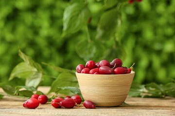 Bowl with ripe dogwood berries on table outdoors