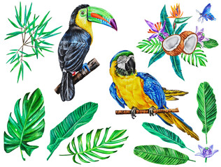 Tropical set with a macaw parrot, toucan, banana leaves, tropical leaves, bouquet,  butterflies, flowers. Watercolor. Illustration. Hand drawn. Template.
