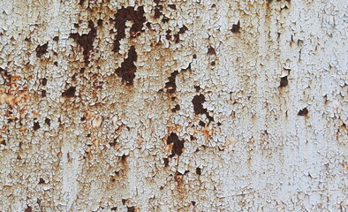 Fototapeta premium Close-up of rust on white metal sheet, Ruins of metal and the rust on the surface, Brown rustic peel off from the surface of iron plate, Damaged iron from oxidation of air and water