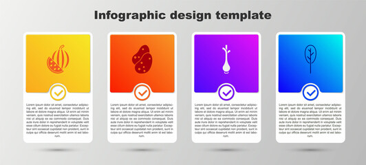 Set Watermelon, Potato, Fresh green onions and Spinach. Business infographic template. Vector