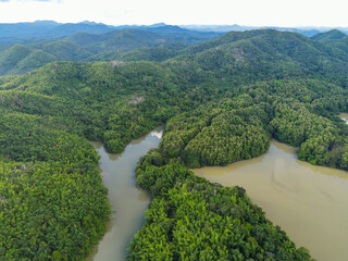 Aerial view river forest nature woodland area green tree, Top view river lagoon pond with blue water from above, island green forest beautiful fresh environment landscape jungles lake village