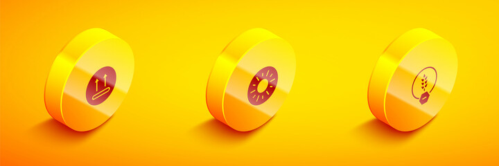 Set Isometric Temperature wash, Sun and Gluten free grain icon. Vector
