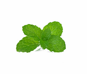 fresh organic mint on a white,isolated © supasart