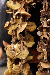 Dried mushrooms hanging on a string