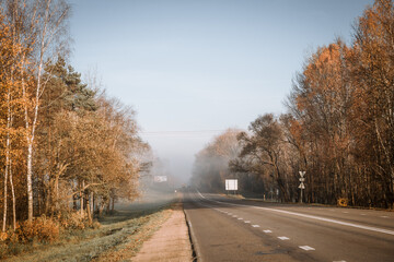 Asphalt intercity road going into the foggy autumn morning, with trees along it. Hitchhike travel