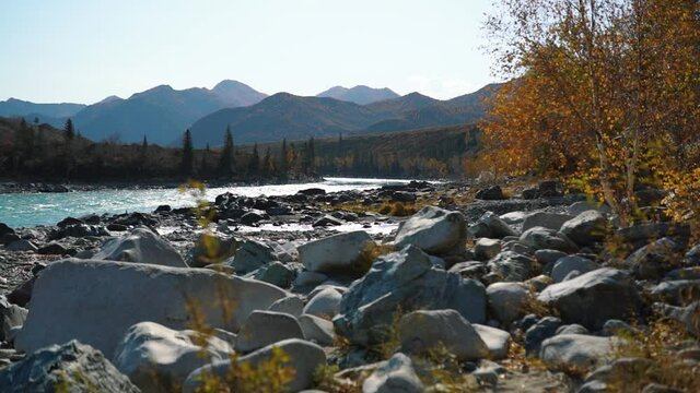 Mountain river, waters running among rocks. Autumn highlands with rocky banks. Natural streaming creek. Tourism, traveling to Altai landscape. Wild natural sight of flowing. High land resort vacation.