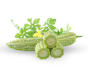 fresh bitter gourd on white background,isolated