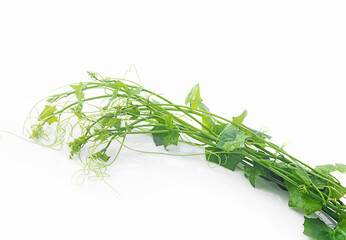 fresh ivy gourd on white background,isolated