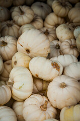 Baselland, Kürbis, Baby Boo, Kürbisernte, Herbst, Herbstfest, Herbstgemüse, Kürbisse, Gartenarbeit, Schweiz