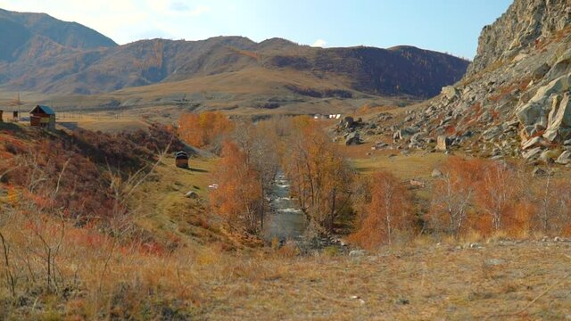 Mountain river running waters. Orange autumn highlands forest leaves. Natural streaming creek among small houses. Tourism, traveling in Altai landscape. Wild sight of nature. High land little stream.