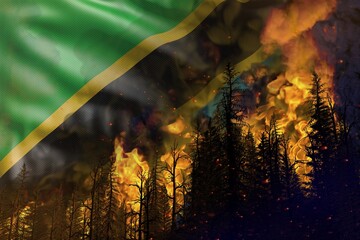 Forest fire natural disaster concept - heavy fire in the woods on Tanzania flag background - 3D illustration of nature
