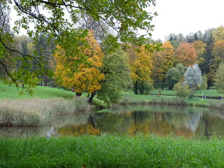 Autumn landscape with pond and trees 