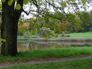 Autumn landscape with pond and trees 