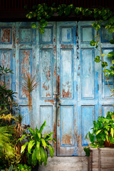 facade and old blue wooden door of asian building surround with green plant