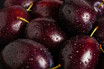 Fresh plums with drops close up. Plums background