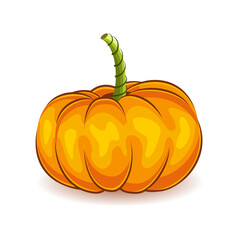 orange pumpkin. Vegetable. The main symbol of the holiday is Halloween. Vector illustration isolated on white background.