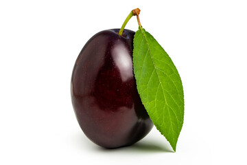 plum with leaf