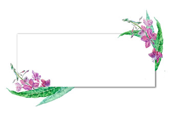 Rectangular label with leaves and flowers of Ivan-tea. Watercolor template