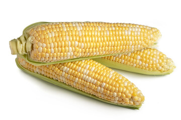 An ear of corn isolated on a white background