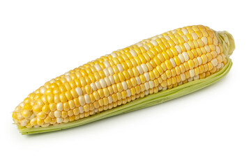 An ear of corn isolated on a white background