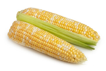 An ear of corn isolated on a white background