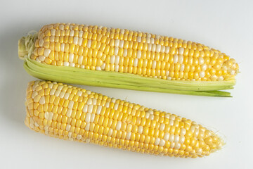 An ear of corn isolated on a white background