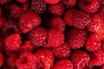 Fresh and sweet raspberries background