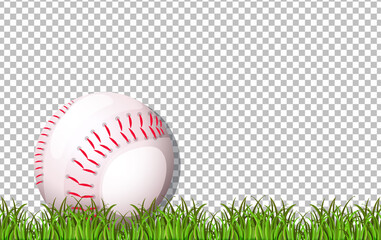 Baseball and grass on transparent background