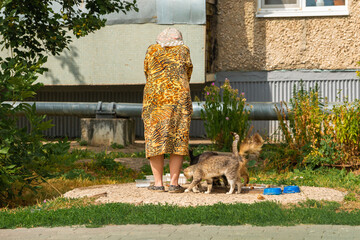 an elderly woman feeds stray cats on the street