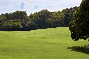 Fototapeta premium Grass field / course with forest and cloudy sky in the background.