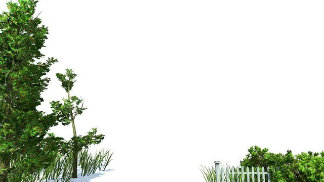 Computer generated animation of  trees and grass swaying in the breeze with a white background. 3d object tree. 3d Animated video. 4k Resolution. Moving image.