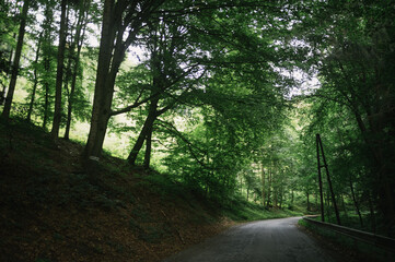 Exploring roads less ridden, little adventures around hometown
