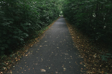 Fototapeta premium Exploring roads less ridden, little adventures around hometown