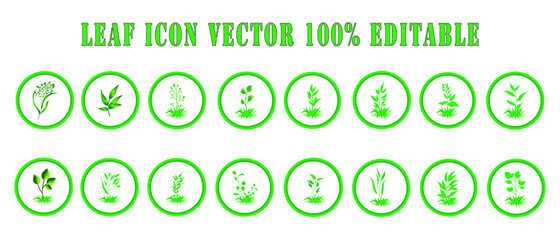 leaf icons set on white background