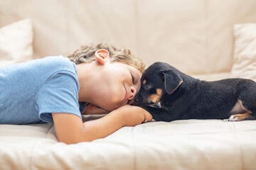 A boy with a little dog playing at home