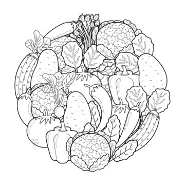 Doodle vegetables circle shape pattern for coloring book. Food mandala coloring page. Black and white print with cauliflower, pepper, potato, tomato, spinach and other. Vector illustration