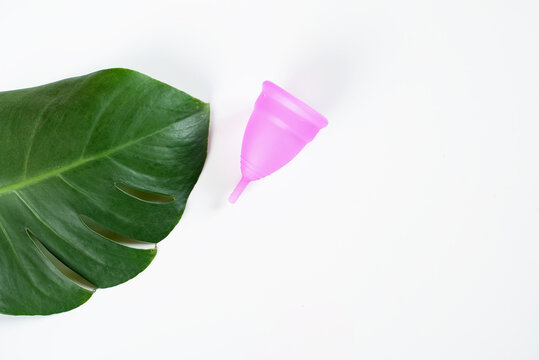 Menstrual Cup And Monstera Leaf. Woman's Health, Save Planet And Environmentally Friendly Feminine Hygiene Product Concept. Zero Waste Alternatives, Critical Day, Top View