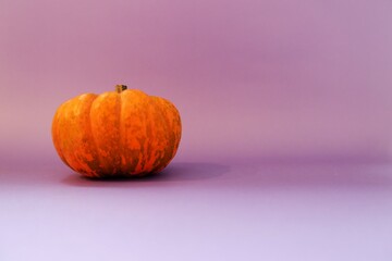 Mini pumpkins on purple background. Halloween concept background. Happy halloween. Halloween festival, event , promotion. 