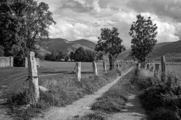 landscape with fence